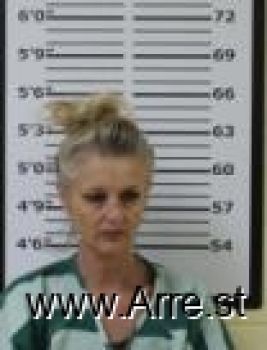 Karen Renee Vandyke Mugshot