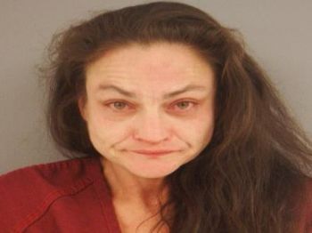 Karol Ann Allred Mugshot