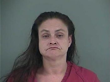 Karol Ann Allred Mugshot