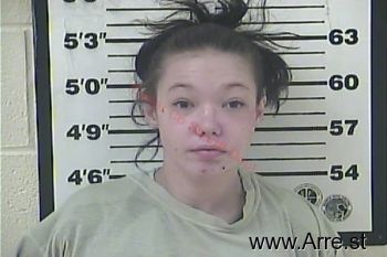 Kayla Christine Greenwell Mugshot