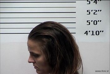 Kimberly Ann Kiser Mugshot