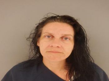 Kristy Lee Bean Mugshot