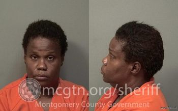 Karen Marie Williams Mugshot