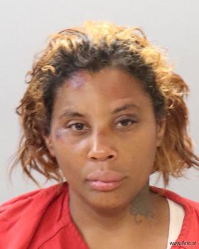 Karen Lashanda Johnson Mugshot