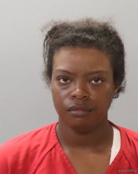 Kayla Michelle Spence Mugshot