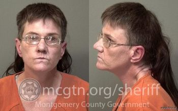 Kimberly Sue Davenport Mugshot