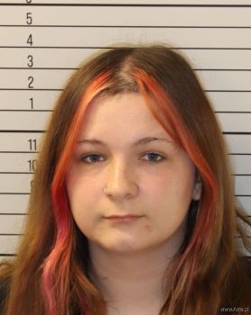 Kristin Marie Miller Mugshot