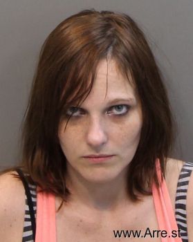 Kristy Ann Williams Mugshot