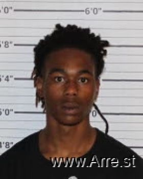 Larry  Houston Mugshot