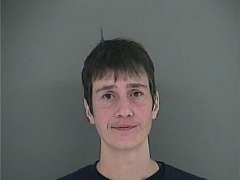 Leslie Ann Darnell Mugshot