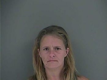 Leslie Jeannine Wilson Mugshot