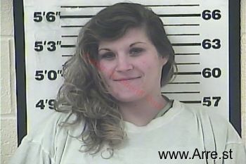 Lindsey Lee Perry Mugshot