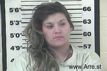 Lindsey Lee Perry Mugshot