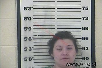 Lindsey Lee Perry Mugshot