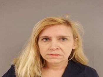 Lisa Gail Powers Mugshot