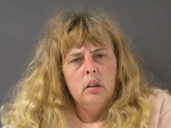 Lisa Ann Robertson Mugshot