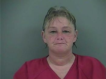 Lisa Michelle Turner Mugshot