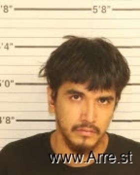 Luis Alfredo Figueroa Mugshot