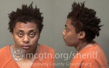 Laneka Denise Brown Mugshot