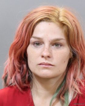 Leslie Anne Wyatt Mugshot