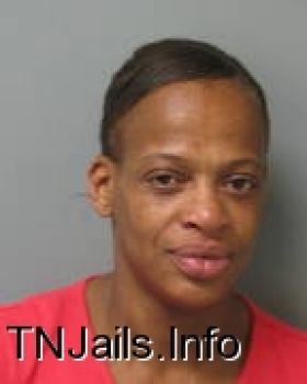 Lisa  Davis Mugshot