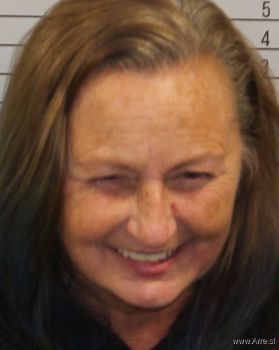 Lisa Ann Lawson Mugshot