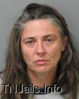 Lisa  Smith Mugshot