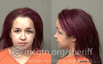 Lisa Lee Smith Mugshot