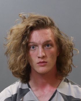 Logan  Cook Mugshot