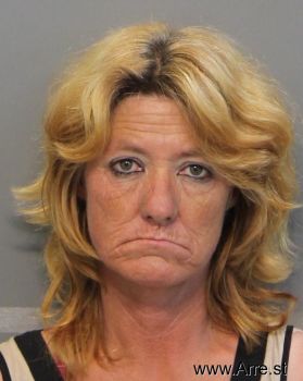 Lori Ann Davis Mugshot