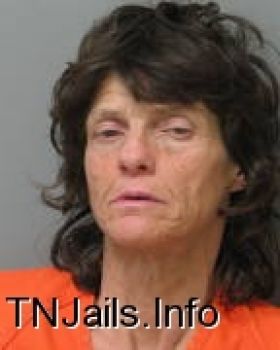 Lori  Johnson Mugshot