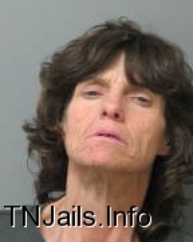 Lori  Johnson Mugshot