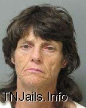 Lori  Johnson Mugshot