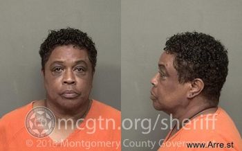 Lori Elaine Johnson Mugshot