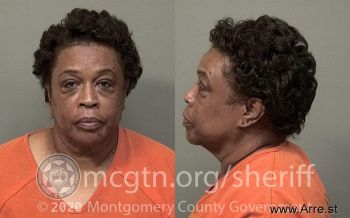 Lori Elaine Johnson Mugshot