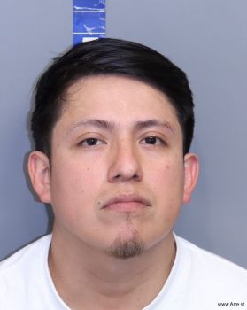 Luis Enrique Guzman Mugshot