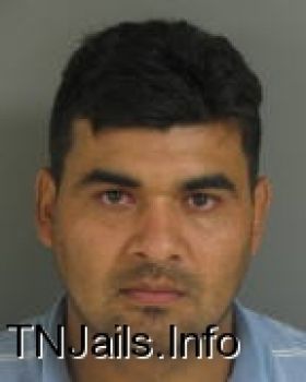 Luis  Herrera Mugshot