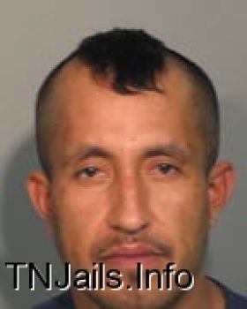 Luis  Morales Mugshot