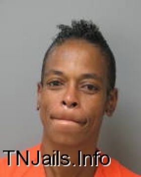 Lynn  Hailey Mugshot