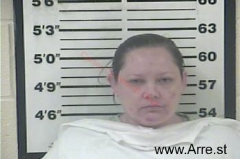 Mary Elizabeth Collins Mugshot