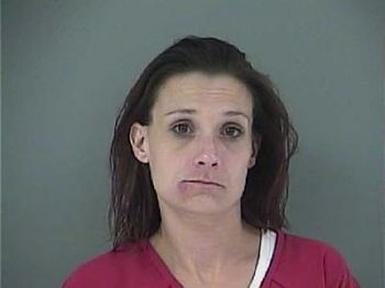 Mary Elizabeth Farmer Mugshot