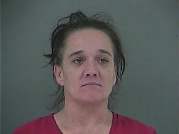 Melinda Lee Webb Mugshot