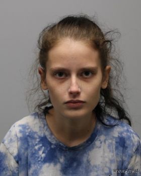 Melissa Lee Dixon Mugshot