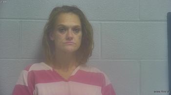 Melissa Dee Richards Mugshot