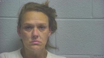 Melissa Dee Richards Mugshot