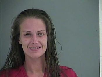 Melissa Darnell Shillings Mugshot