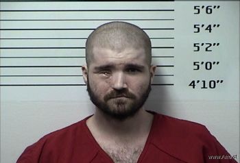 Michael Allen Webb Jr Mugshot