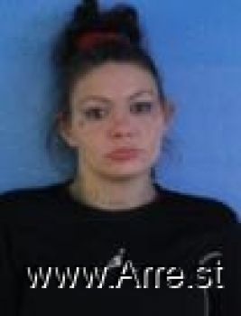 Michelle Nichole Gibson Mugshot