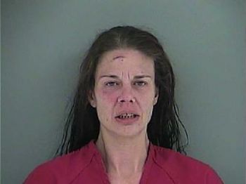 Michelle Lynn Moore Mugshot