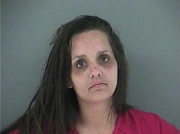 Michelle Lee Thompson Mugshot